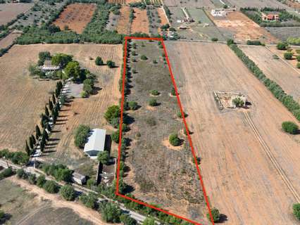 Parcela rústica en venta en Algaida rebajada