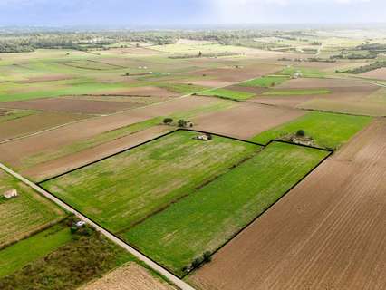 Parcela rústica en venta en Muro