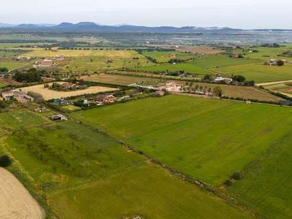 Parcela rústica en venta en Campos