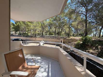Apartamento en alquiler en Calvià