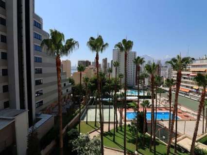 Apartamento en venta en Benidorm