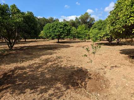 Finca en venta en Dénia