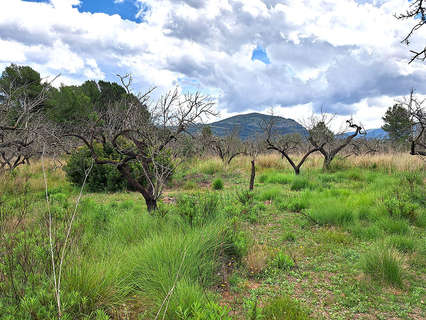 Parcela urbanizable en venta en Murla zona Puerta del valle