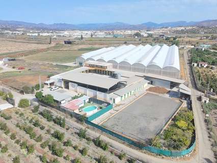 Cortijo en venta en Vélez-Málaga zona Torre del Mar