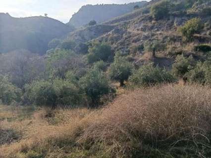 Parcela rústica en venta en Álora