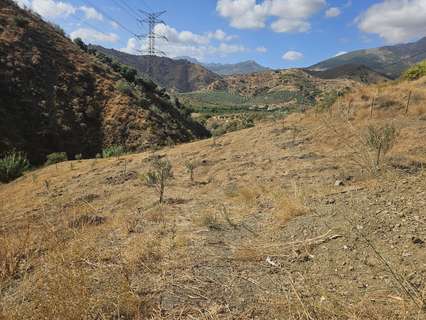Parcela rústica en venta en Casarabonela