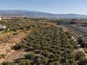 Parcela urbana en venta en Albolote