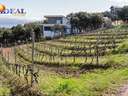 Parcela rústica en venta en Dúdar