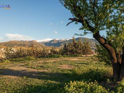 Parcela rústica en venta en Granada rebajada