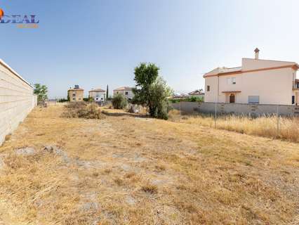 Parcela rústica en venta en Alhendín