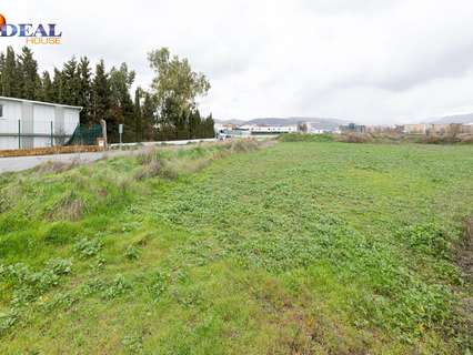 Parcela rústica en venta en Armilla