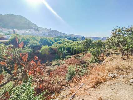 Parcela en venta en Frigiliana