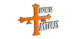 Inmobiliaria Agencia Astures