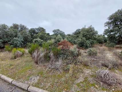 Parcela rústica en venta en Maello