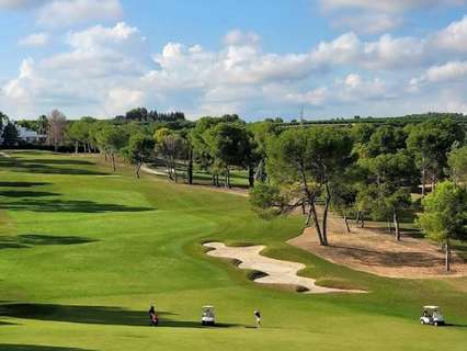 Parcela rústica en venta en Chiva