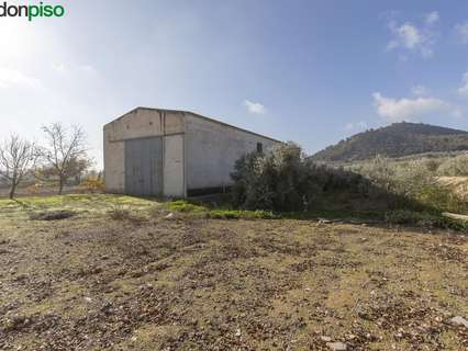 Nave industrial en venta en Albolote