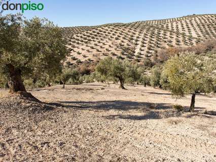 Parcela rústica en venta en Campotéjar