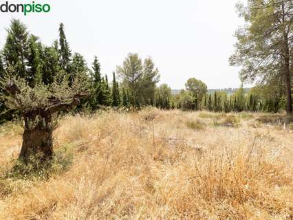 Parcela rústica en venta en Albolote