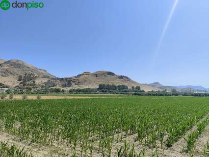 Parcela rústica en venta en Atarfe rebajada