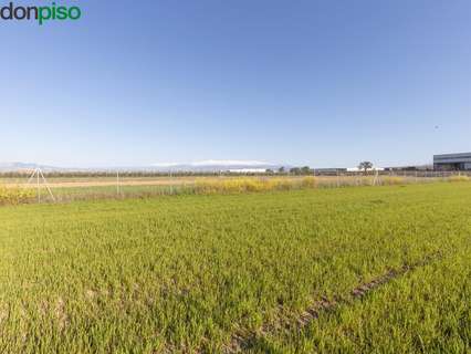 Parcela rústica en venta en Chauchina