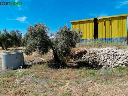 Parcela rústica en venta en Huelma