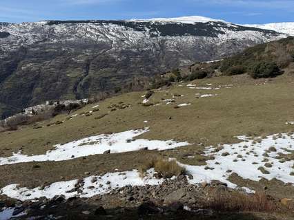 Parcela rústica en venta en Capileira