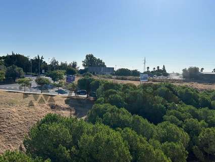 Piso en venta en Jerez de la Frontera rebajado