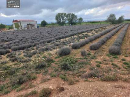 Parcela rústica en venta en Albacete