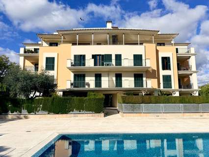 Piso en alquiler en Palma de Mallorca