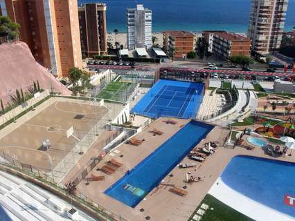 Apartamento en venta en Benidorm rebajado