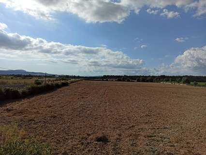 Parcela rústica en venta en Porreres