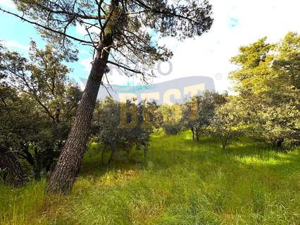 Parcela rústica en venta en Marugán