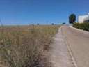 Parcela urbana en venta en Fuente Álamo de Murcia