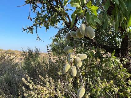Piso en venta en Fuente Álamo de Murcia