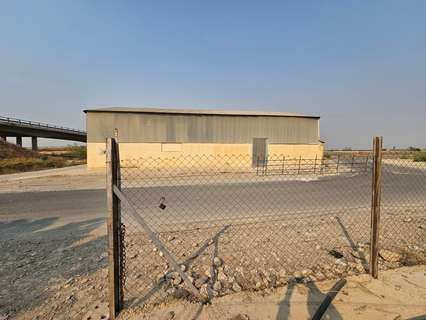 Casa en venta en Fuente Álamo de Murcia