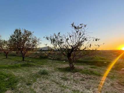 Parcela rústica en venta en Fuente Álamo de Murcia