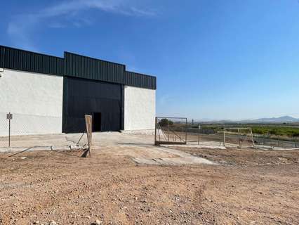 Nave industrial en alquiler en Fuente Álamo de Murcia