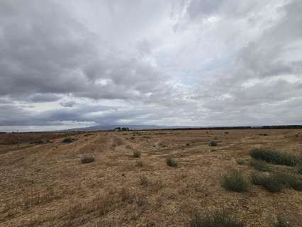 Parcela rústica en venta en Fuente Álamo de Murcia