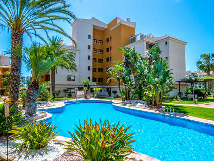 Apartamento en venta en Torrevieja zona Punta Prima