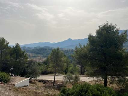 Parcela rústica en venta en Benigembla zona Benigembla