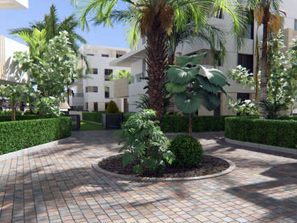 Apartamento en venta en Torre-Pacheco zona Torre-Pacheco