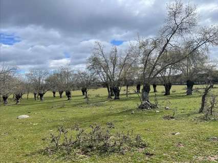 Parcela rústica en venta en Galapagar