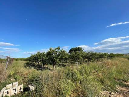 Parcela rústica en venta en Benimodo
