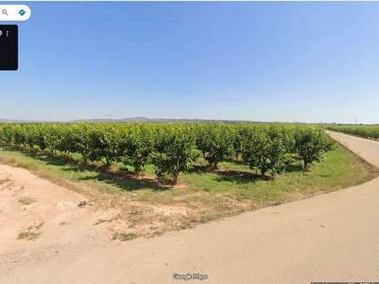 Parcela rústica en venta en Carlet