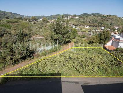 Parcela rústica en venta en Teror rebajada