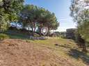 Parcela urbana en venta en Sant Andreu de Llavaneres rebajada