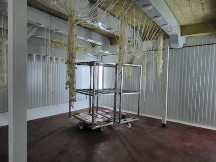 Nave industrial en venta en Guijuelo