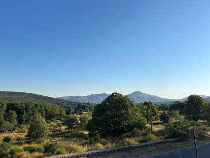 Parcela rústica en venta en Candelario rebajada
