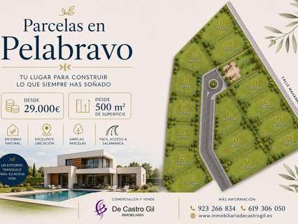 Parcela rústica en venta en Pelabravo