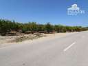 Finca en venta en Albatera